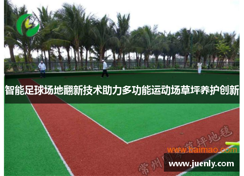 智能足球场地翻新技术助力多功能运动场草坪养护创新